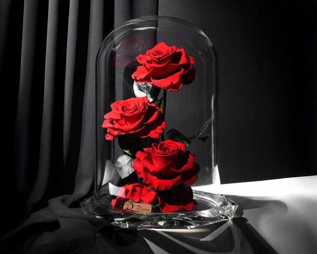 Everlasting Collection floral arrangement